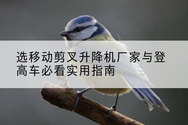 驿城电动升降机厂家-选移动剪叉升降机厂家与登高车必看实用指南