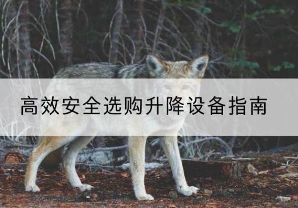 驿城升降货梯厂家推荐-*安全选购升降设备指南