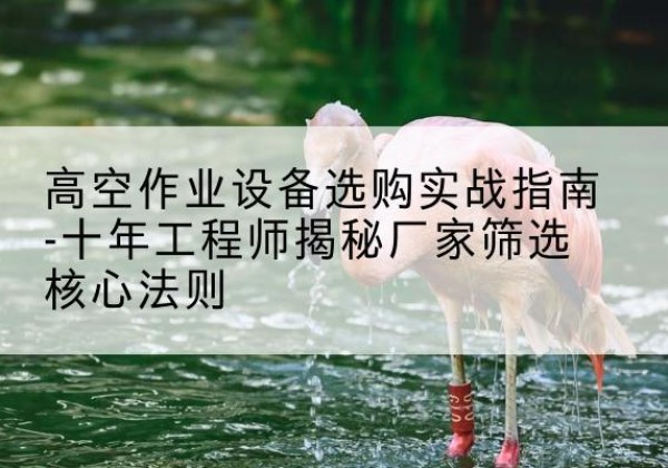 驿城剪叉式升降机厂家-高空作业设备选购实战指南-十年工程师揭秘厂家筛选核心法则